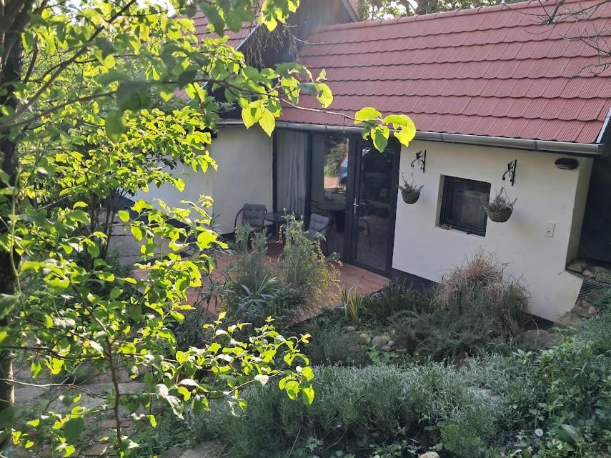 Kismadar Vendeghaz Noszvaj Apartment Exterior photo